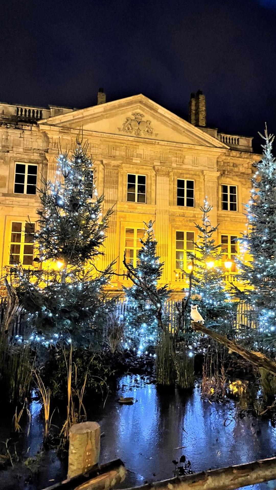 Cocon Lumineux Proche De La Ville Fortifiee Et De Nausicaa Boulogne-sur-Mer Exterior photo