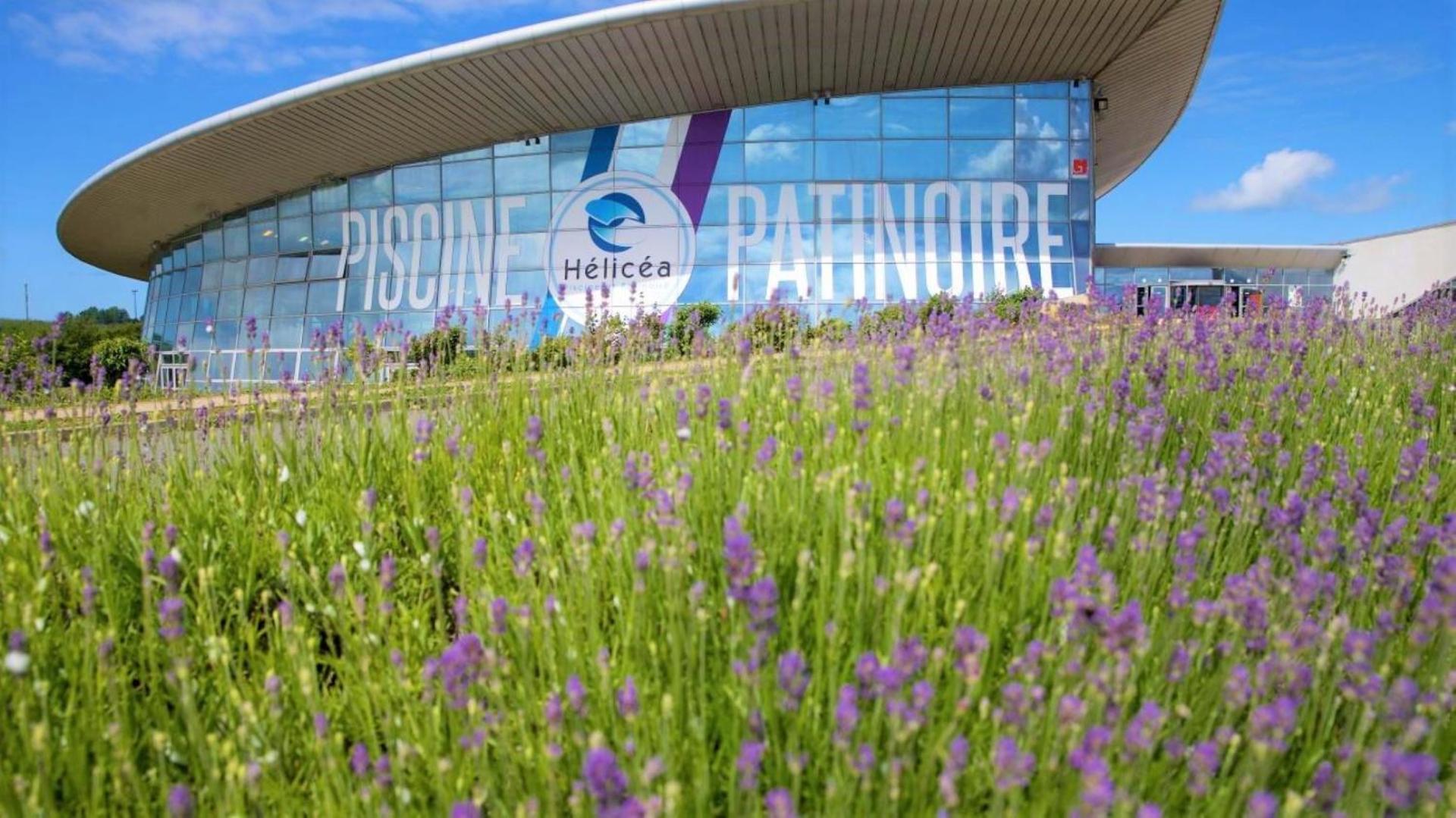 Cocon Lumineux Proche De La Ville Fortifiee Et De Nausicaa Boulogne-sur-Mer Exterior photo